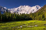 Fairy Meadows and Mt. Nanga Parbat (8025 m), Pakistan